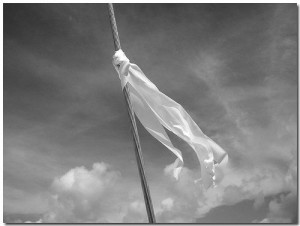 Surrender