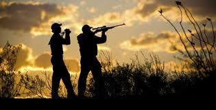 Hunting